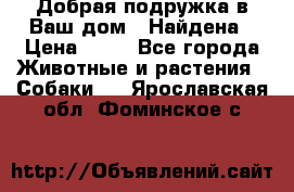 Добрая подружка,в Ваш дом!!!Найдена › Цена ­ 10 - Все города Животные и растения » Собаки   . Ярославская обл.,Фоминское с.